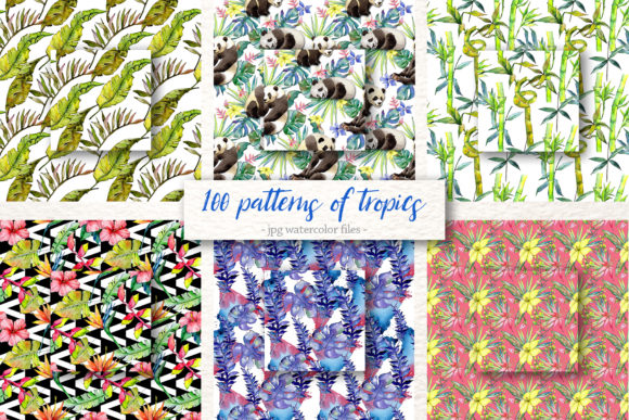 100 Patterns of Tropics Watercolor Set: Elevating Digital Design with Hand-Painted Authenticity