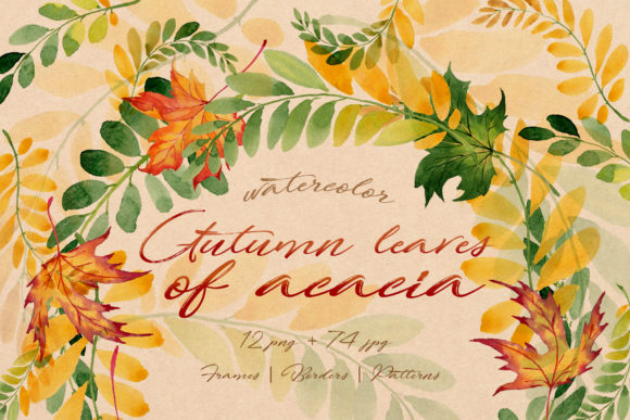 Autumn Leaves of Acacia Watercolor Set Guide