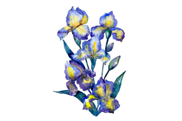 Bouquet of Blue Irises Watercolor Set