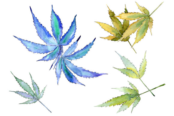 Cannabis Leaves PNG Watercolor Set Guide