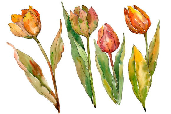 Colorful Autumn Tulips Watercolor Set Guide