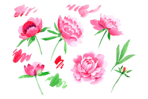Crimson Peonies Watercolor Set: Elevating Digital Design with Hand-Painted Botanicals