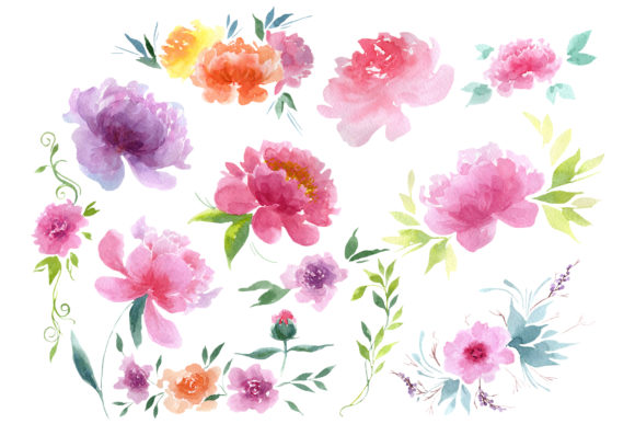 Delicate Colorful Peony Watercolor Set Guide