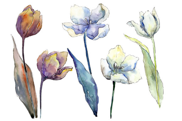 Elevating Creative Projects with the White Tulips Watercolor Flower Set