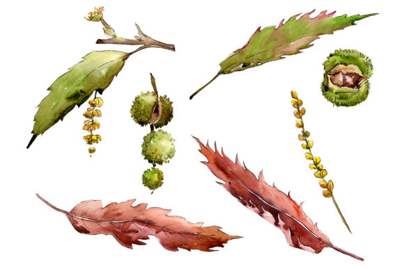 Evaluating the Autumn Chestnut Watercolor Plant Set for Seasonal Design Projects