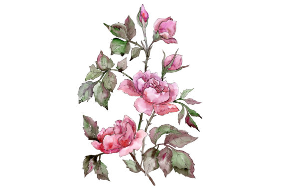Evaluating the Elegant Bouquet of Pink Rose Watercolor Set for Professional Design