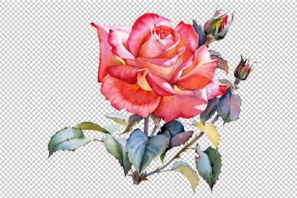 Evaluating the Red Rose Realistic Watercolor Set for Professional and Personal Design Projects