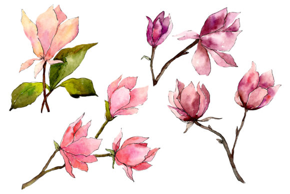Evaluating the Tender Pink Magnolia Watercolor Set for Professional Design