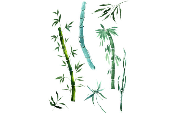 Exotic Bamboo Watercolor Set: Elevating Digital and Print Design with Hand-Painted Botanicals