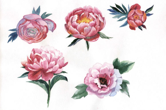 Mastering Floral Design: The Versatility of Red Peony Watercolor PNGs in Modern Creativity
