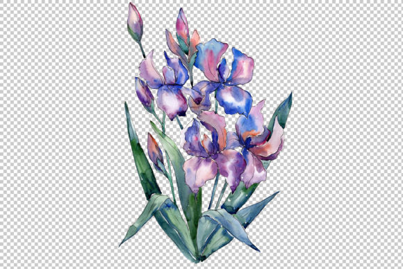 Unlocking Creative Potential: A Comprehensive Guide to the Bouquet of Violet Irises Watercolor Set