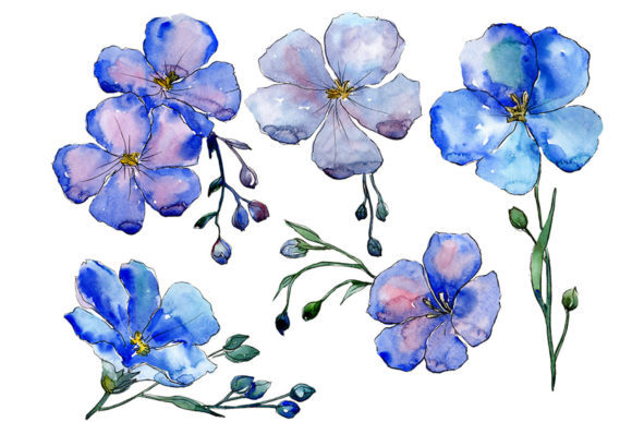 Wildflower Blue Flax Watercolor Set for Design